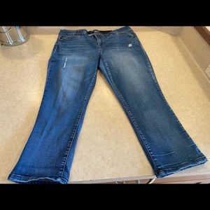 Democracy absolution skinny cropped jeans